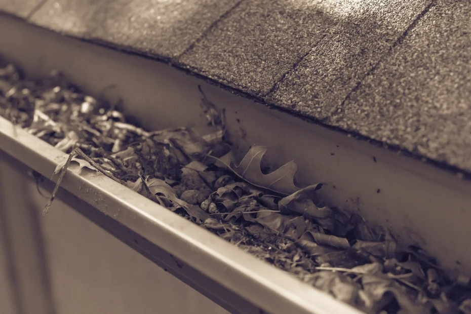 Gutter Cleaning Moss Bluff