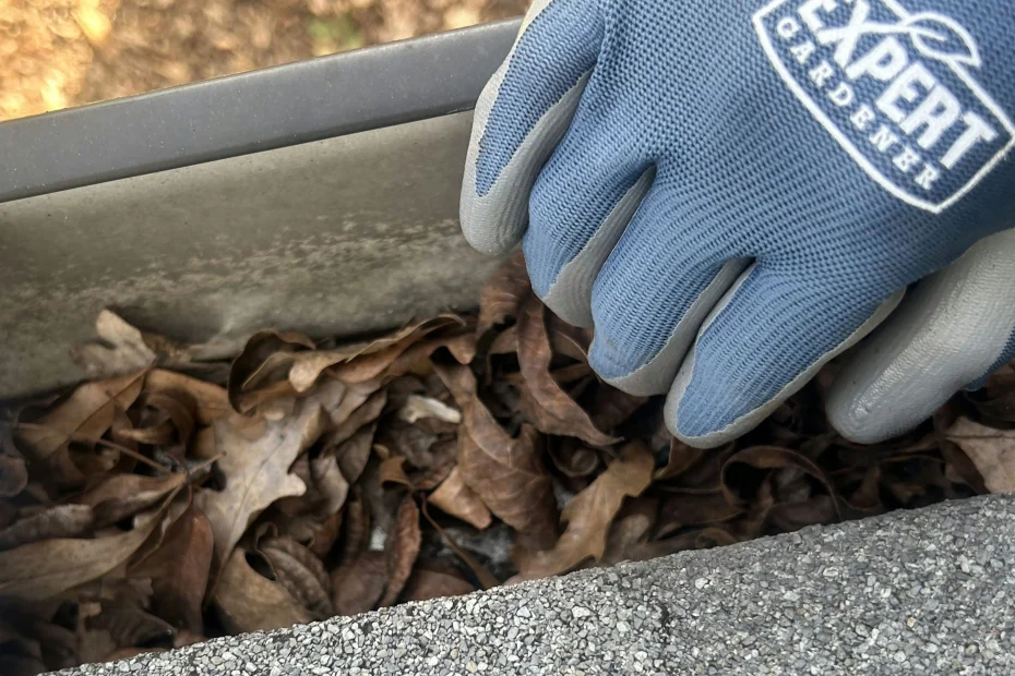 Gutter Cleaning Moss Bluff