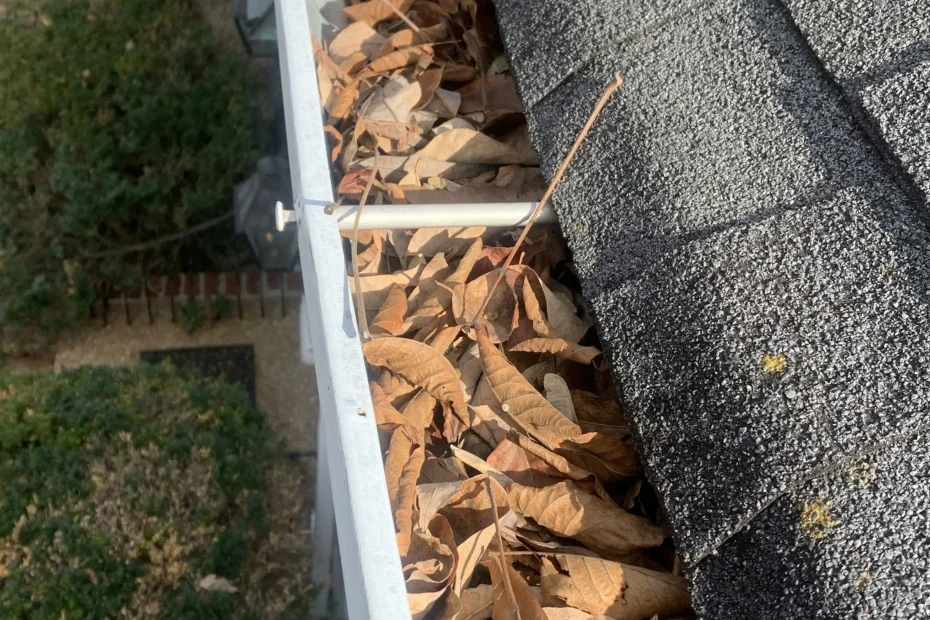 Gutter Cleaning Moss Bluff