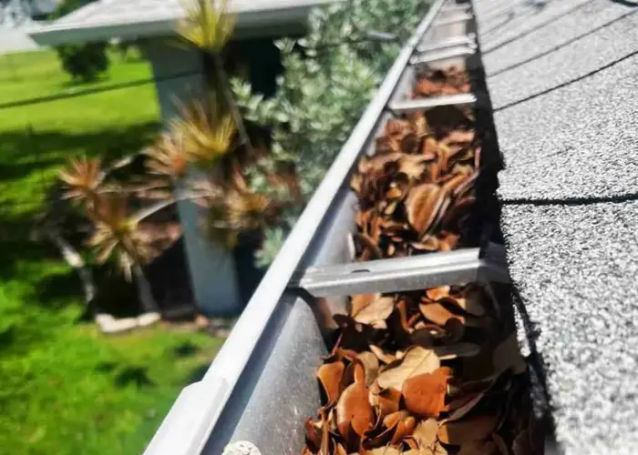 Gutter Cleaning Moss Bluff home page